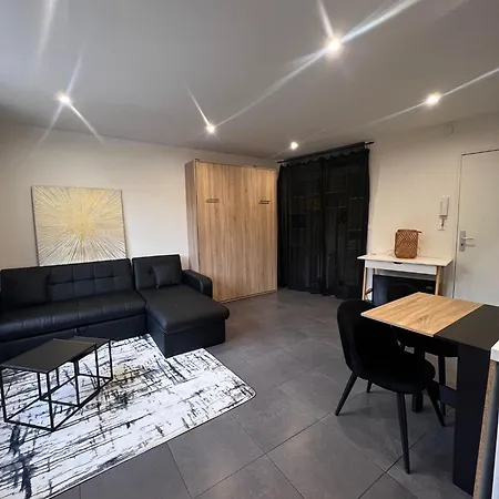 Apartamento Grand Renove A Ideal Et Congres - A Pied!